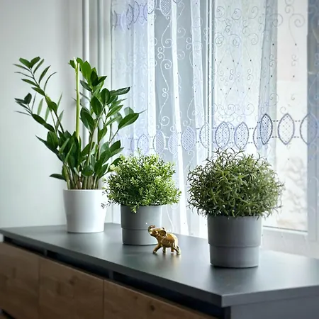 Apartament Na Stogach W Gdansku. Lejlighed Gdańsk